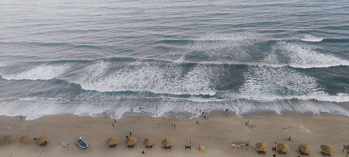 公园休闲露营 封面图