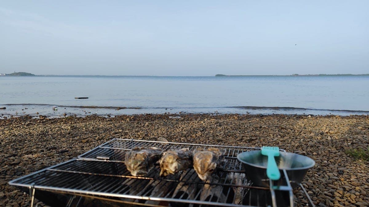 露营吃什么，有菜谱举例